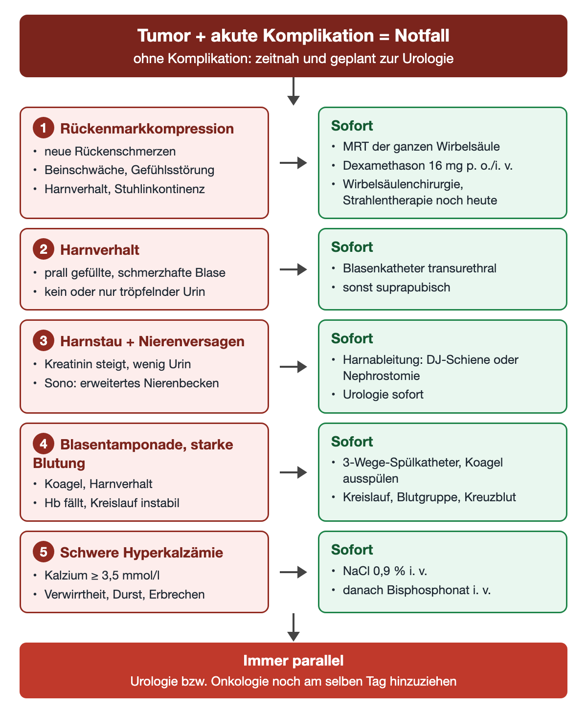 Fünf nummerierte rote Kästen mit Notfällen durch einen Tumor – Rückenmarkkompression, Harnverhalt, Harnstau mit Nierenversagen, Blasentamponade oder starke Blutung, schwere Hyperkalzämie – jeweils mit Pfeil zu einem grünen Kasten mit der Sofortmaßnahme; unten ein roter Kasten: Fachdisziplin am selben Tag