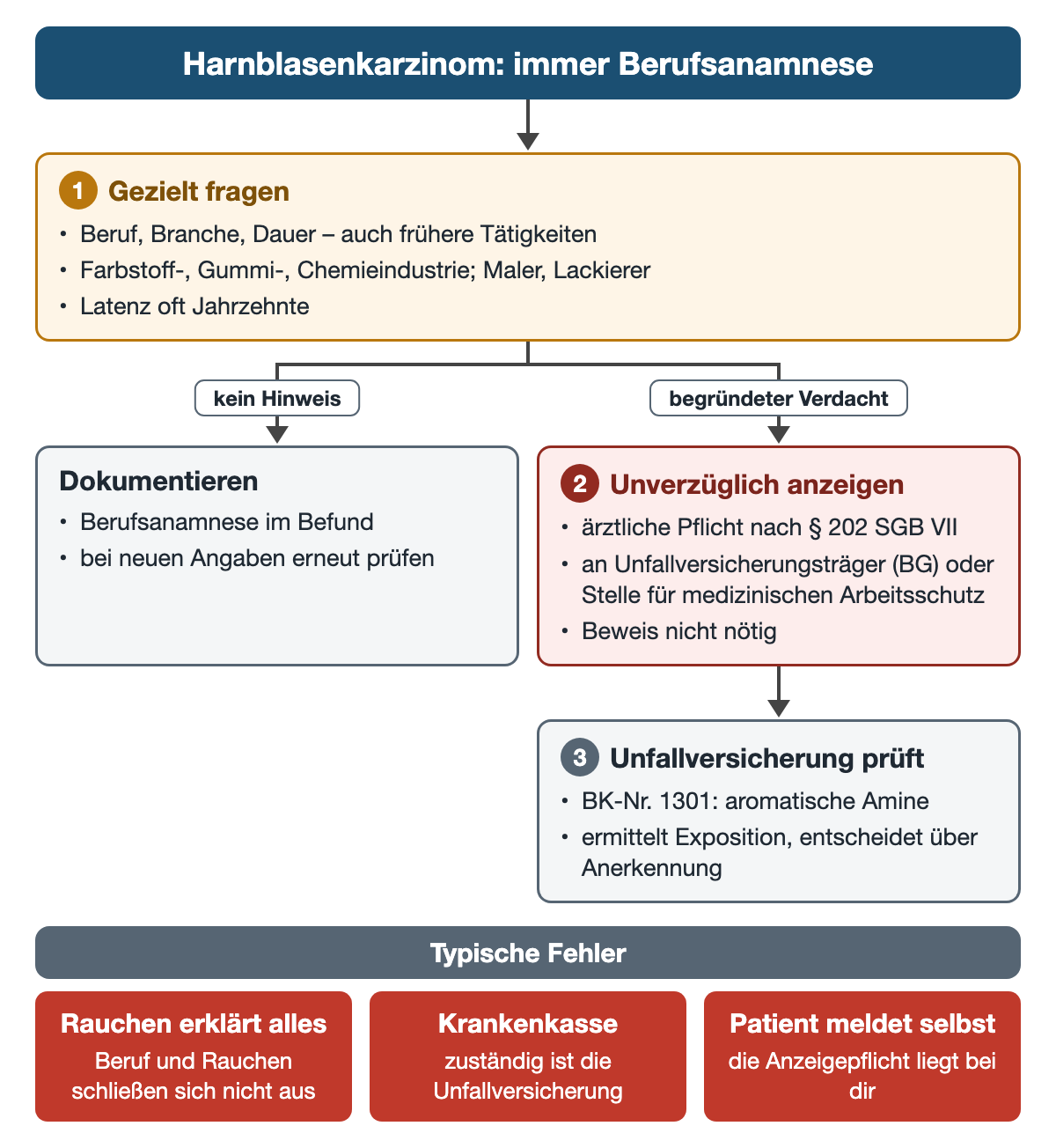 Ablauf der Berufsanamnese beim Harnblasenkarzinom: gezielte Fragen nach Beruf und Exposition, bei begründetem Verdacht unverzügliche Anzeige nach Paragraf 202 SGB VII an den Unfallversicherungsträger, der die Berufskrankheit Nr. 1301 prüft; unten drei rote Kästen mit typischen Fehlern