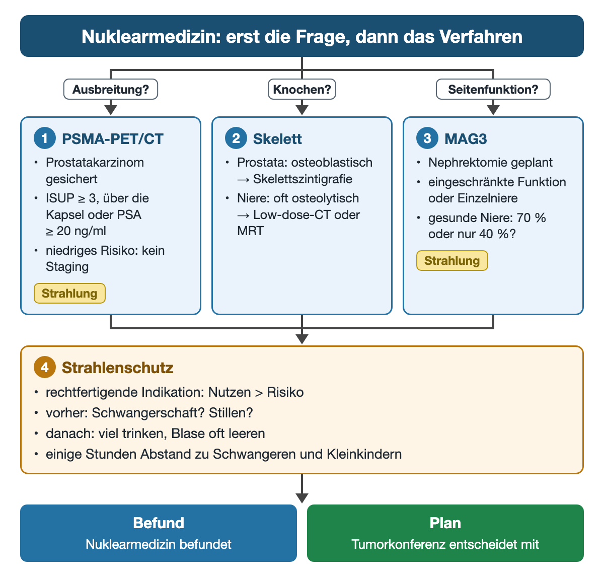 Drei Fragen mit drei Verfahren: Ausbreitung – PSMA-PET/CT bei ISUP ab 3, Tumor über die Kapsel oder PSA ab 20 ng/ml; Knochen – Skelettszintigrafie beim Prostatakarzinom, Low-dose-CT oder MRT beim Nierenzellkarzinom; Seitenfunktion – MAG3-Szintigrafie vor Nephrektomie; darunter Strahlenschutz und Tumorkonferenz