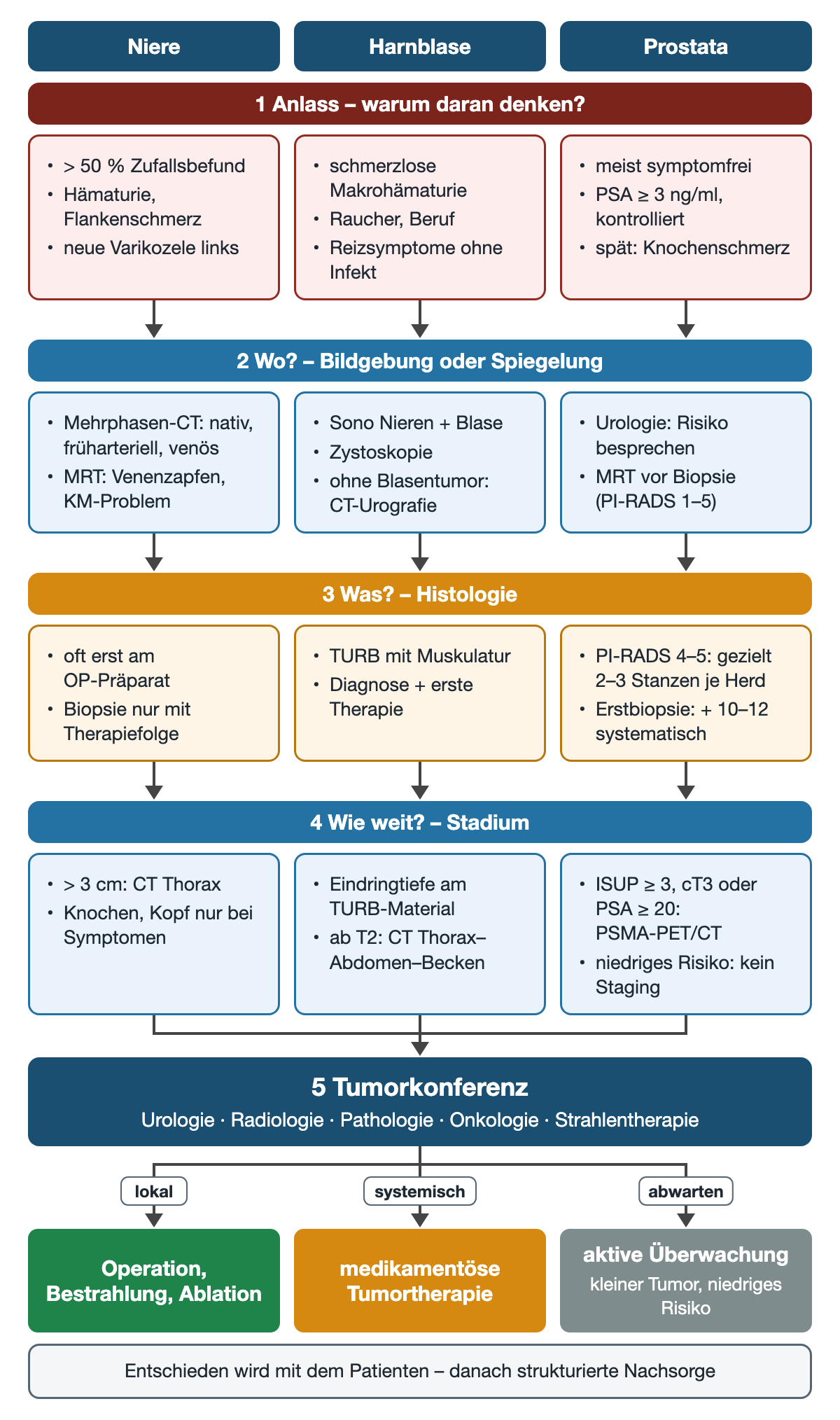 Flussschema mit drei Spalten für Niere, Harnblase und Prostata über vier farbige Stufen: Anlass, Bildgebung oder Spiegelung, Histologie und Stadium; alle Spalten münden in die Tumorkonferenz mit den drei Therapieprinzipien lokal, systemisch und aktive Überwachung