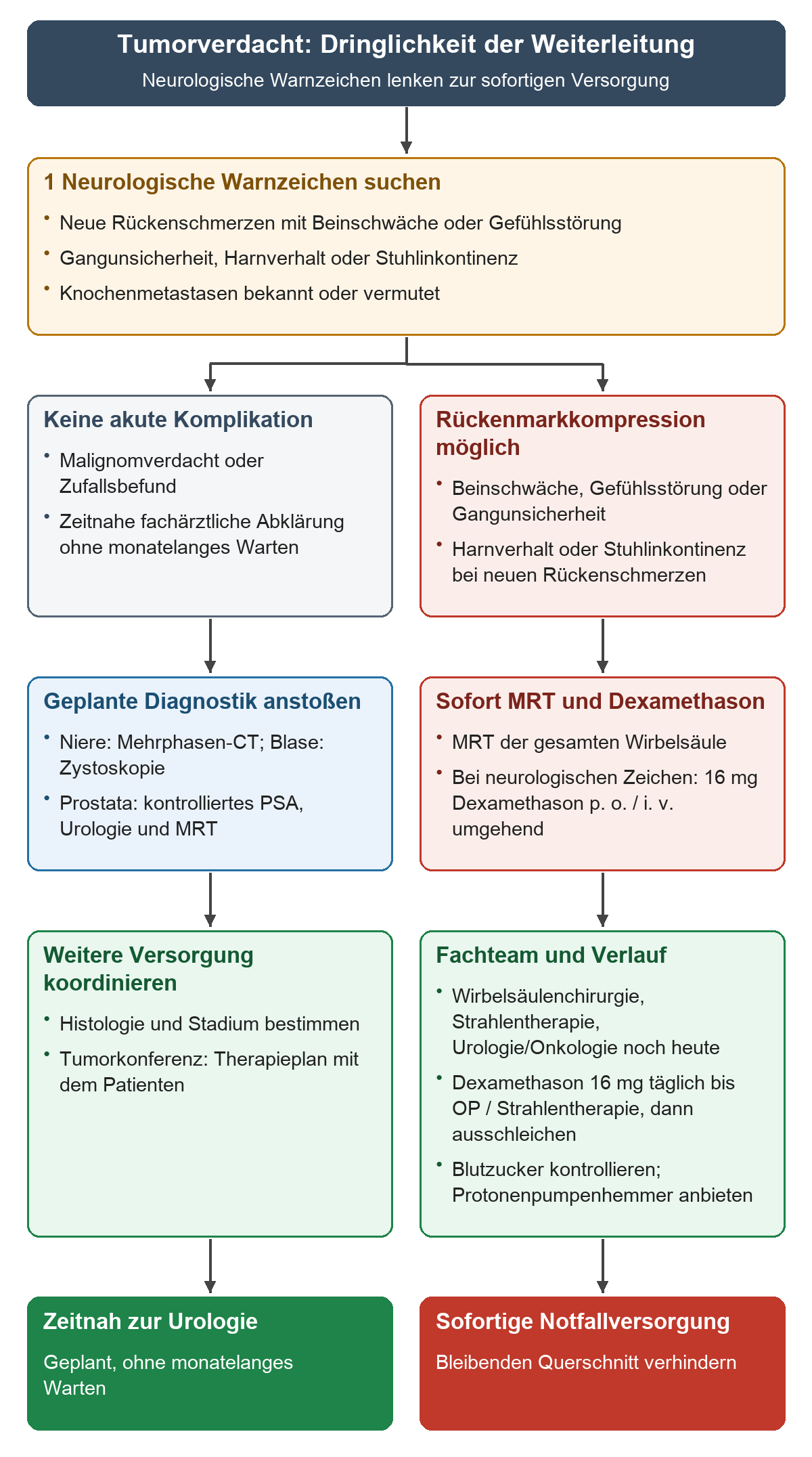 Links führt Malignomverdacht ohne akute Komplikation zur zeitnahen urologischen Abklärung; rechts führen Rücken- und neurologische Symptome zu sofortigem Ganzwirbelsäulen-MRT, Dexamethason und dem Fachteam.