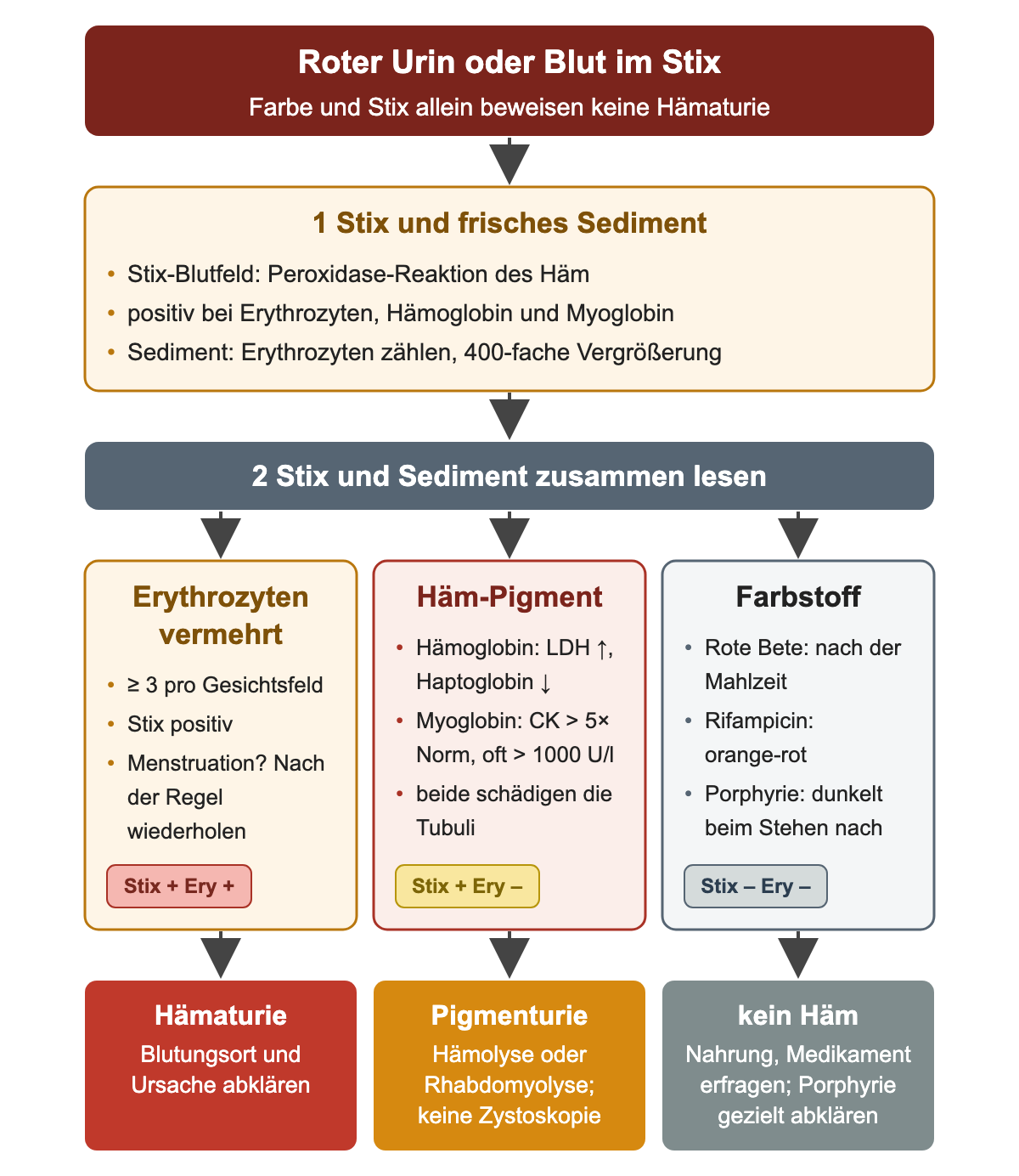 Flussdiagramm: Stix und frisches Sediment führen in drei Spalten zu vermehrten Erythrozyten (Hämaturie abklären), Häm-Pigment bei positivem Stix ohne Erythrozyten (LDH, Haptoglobin, CK) und Farbstoff bei negativem Stix (Rote Bete, Rifampicin, Porphyrie).