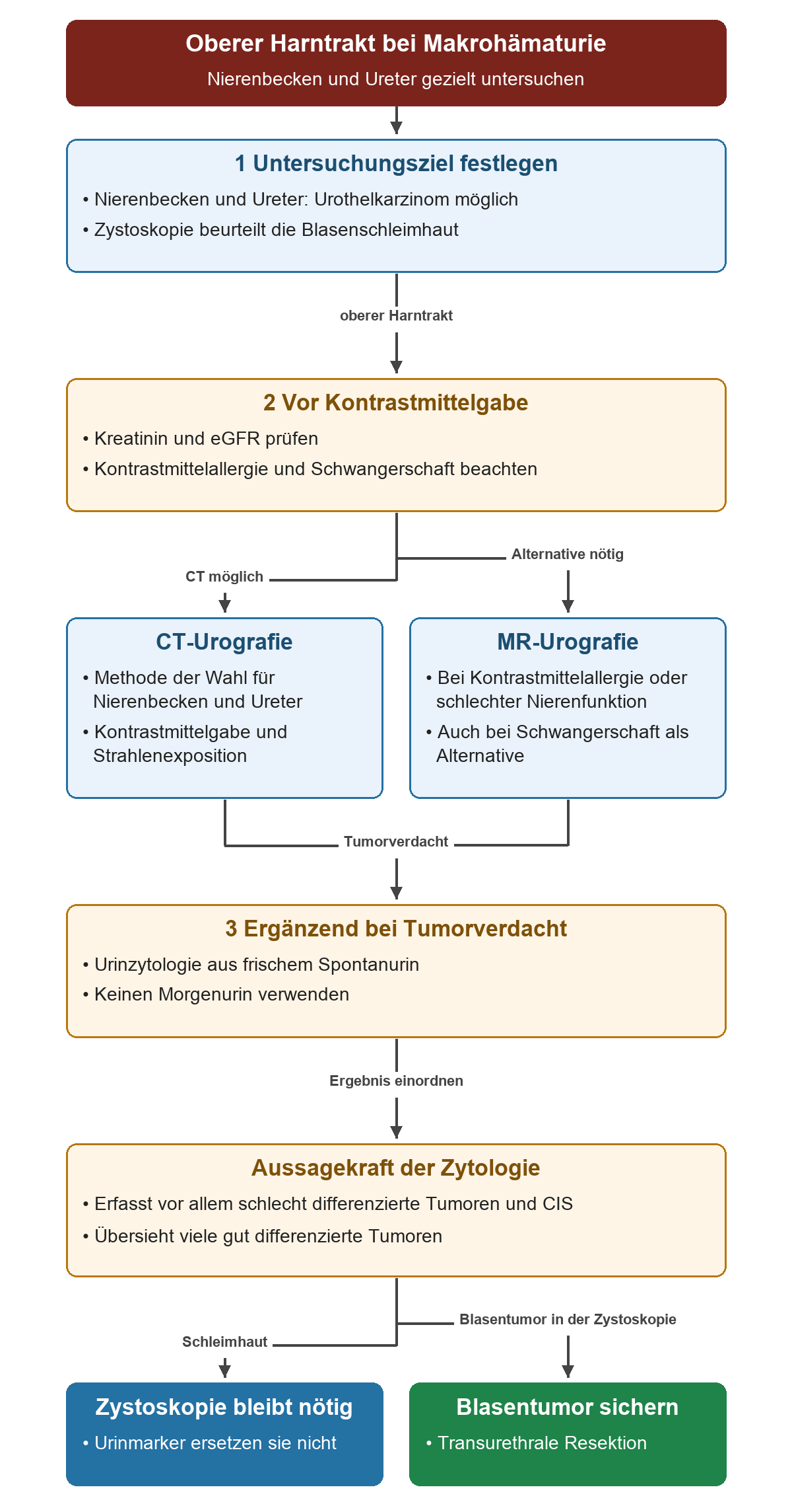 Vom Untersuchungsziel über Kreatinin, eGFR, Allergie und Schwangerschaft zur CT- oder MR-Urografie; Urinzytologie ergänzt die Zystoskopie, ein Tumor wird histologisch gesichert.