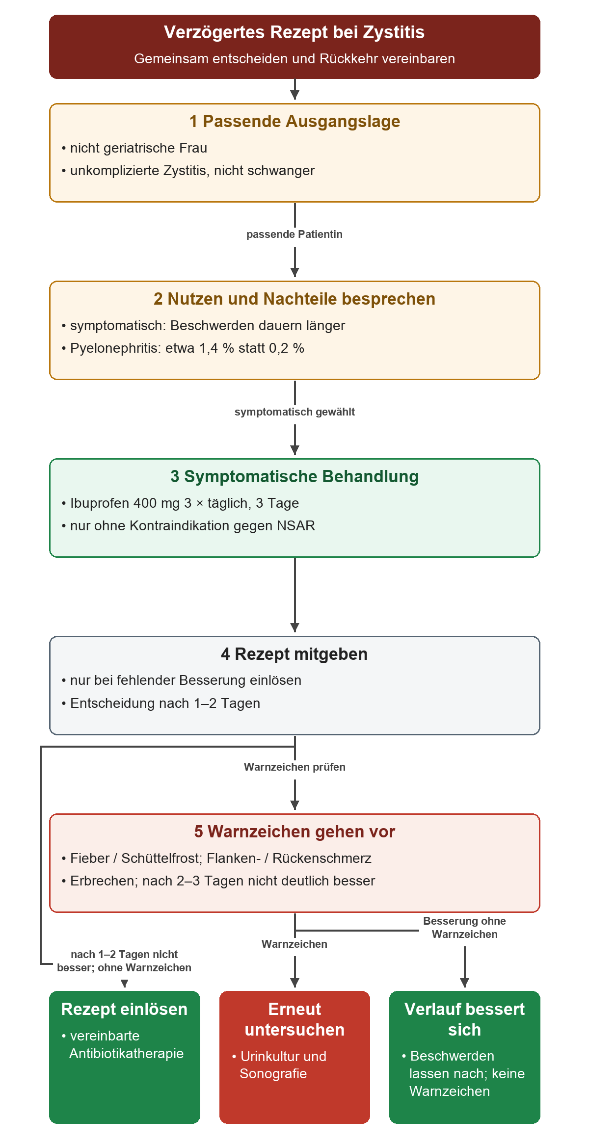 Für eine nicht geriatrische Frau mit unkomplizierter Zystitis werden symptomatische Behandlung und verzögertes Rezept dargestellt; Warnzeichen führen unabhängig davon zur erneuten Untersuchung.
