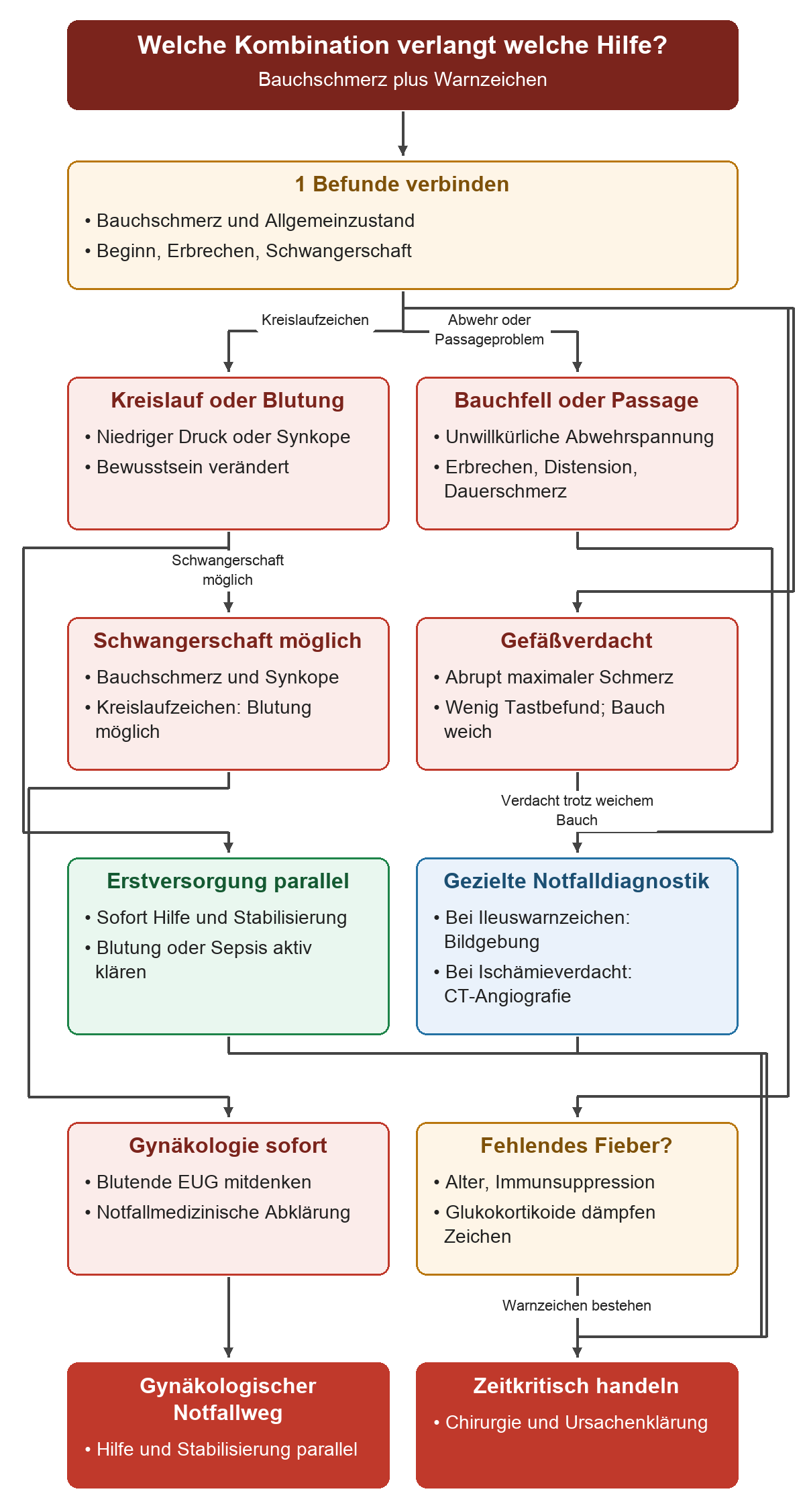 Von den Warnkombinationen verzweigt der Weg zu Kreislaufversorgung, dringlicher Bildgebung und chirurgischer oder gynäkologischer Hilfe. Ein weicher Bauch oder fehlendes Fieber beendet den Warnweg nicht.