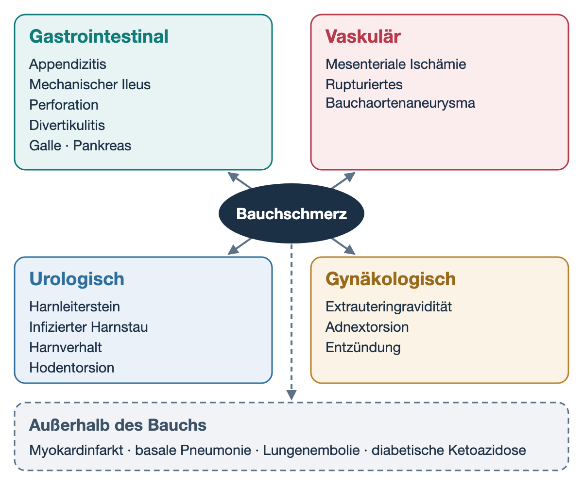 Fünf Kästen um eine dunkle Ellipse mit dem Wort Bauchschmerz. Gastrointestinal: Appendizitis, mechanischer Ileus, Perforation, Divertikulitis, Galle und Pankreas. Vaskulär: mesenteriale Ischämie, rupturiertes Bauchaortenaneurysma. Urologisch: Harnleiterstein, infizierter Harnstau, Harnverhalt, Hodentorsion. Gynäkologisch: Extrauteringravidität, Adnextorsion, Entzündung. Ein gestrichelter Pfeil führt zu einem gestrichelten Kasten unten: Außerhalb des Bauchs, mit Myokardinfarkt, basaler Pneumonie, Lungenembolie und diabetischer Ketoazidose.