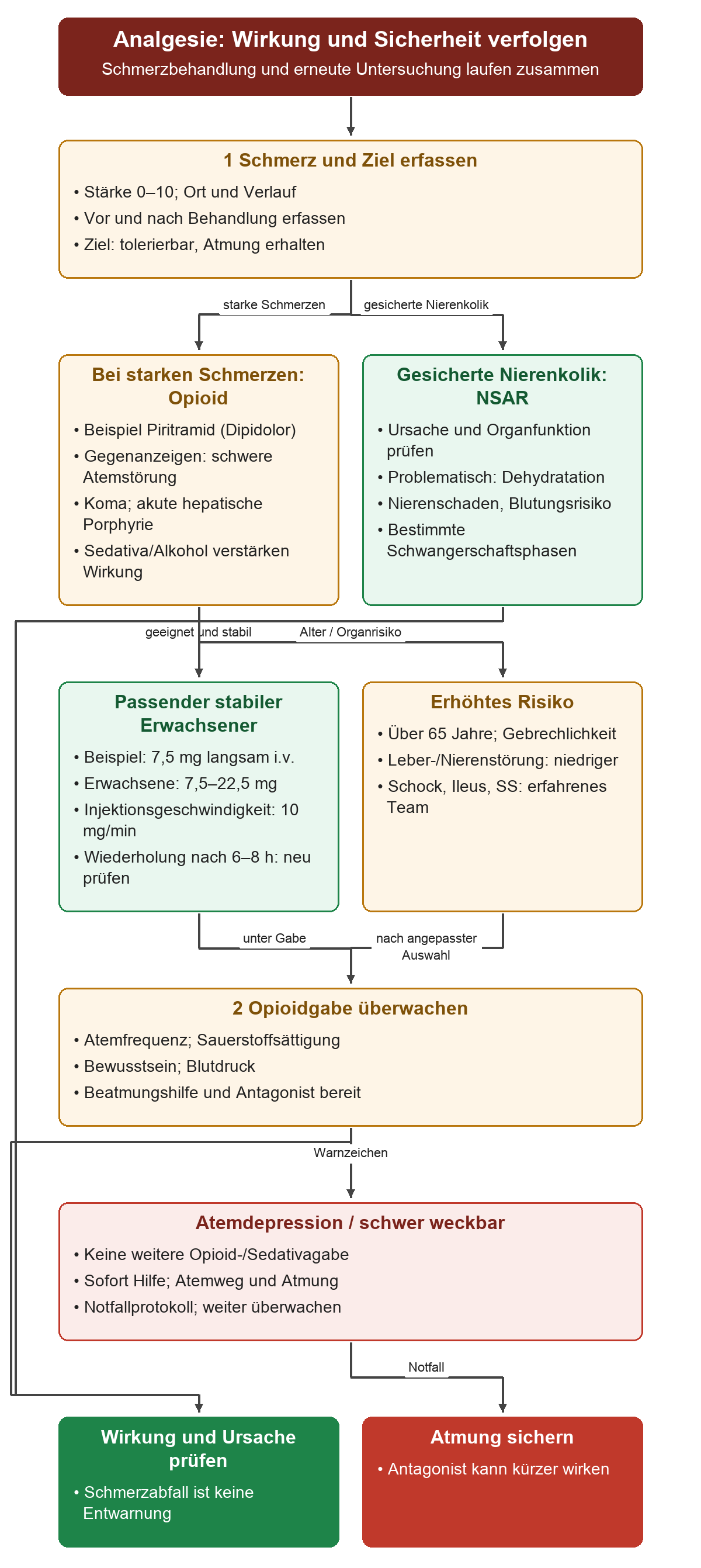 Schmerzerfassung führt je nach Indikation zur überwachten Opioidwahl oder bei gesicherter Nierenkolik zur NSAR-Prüfung. Unter Piritramid werden Atmung, Sättigung, Bewusstsein und Blutdruck verfolgt. Atemdepression oder schwere Weckbarkeit führen sofort zur Notfallbehandlung.
