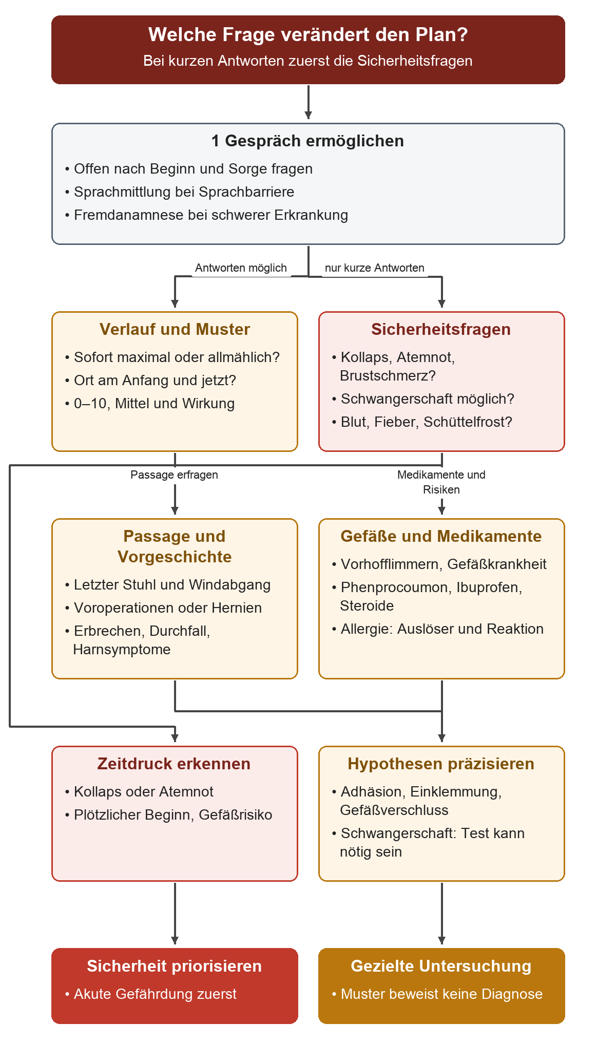Das Gespräch beginnt offen; bei kurzen Antworten stehen Sicherheitsfragen vorn. Verlauf, Passage, Voroperationen, Gefäßrisiken und Medikamente führen zu einer priorisierten Gefährdungs- und Ursachenfrage für die Untersuchung.