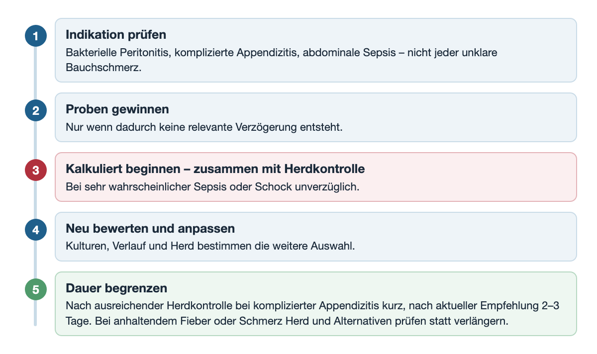 Zeitleiste in fünf nummerierten Schritten: 1 Indikation prüfen – bakterielle Peritonitis, komplizierte Appendizitis, abdominale Sepsis, nicht jeder unklare Bauchschmerz; 2 Proben gewinnen, nur wenn dadurch keine relevante Verzögerung entsteht; 3 kalkuliert beginnen zusammen mit Herdkontrolle, bei sehr wahrscheinlicher Sepsis oder Schock unverzüglich; 4 neu bewerten und anpassen nach Kulturen, Verlauf und Herd; 5 Dauer begrenzen – nach ausreichender Herdkontrolle bei komplizierter Appendizitis kurz, nach aktueller Empfehlung 2 bis 3 Tage; bei anhaltendem Fieber oder Schmerz Herd und Alternativen prüfen statt verlängern.