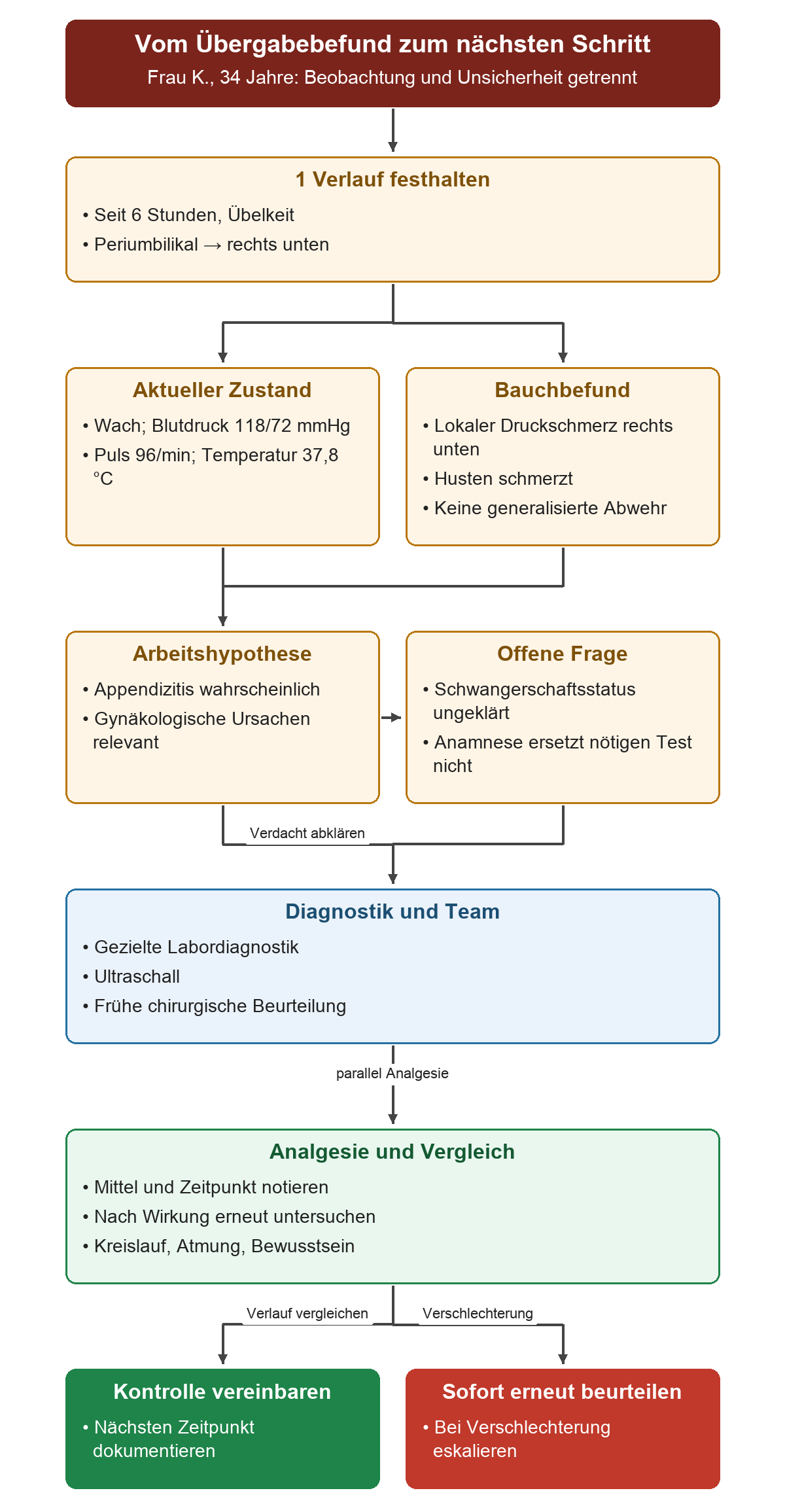 Die sechs Stunden Schmerzverlauf und konkreten Vital- und Bauchbefunde führen zur Arbeitshypothese. Der unklare Schwangerschaftsstatus bleibt sichtbar. Labor, Ultraschall und Chirurgie laufen mit Analgesie und geplanter Kontrolle zusammen.