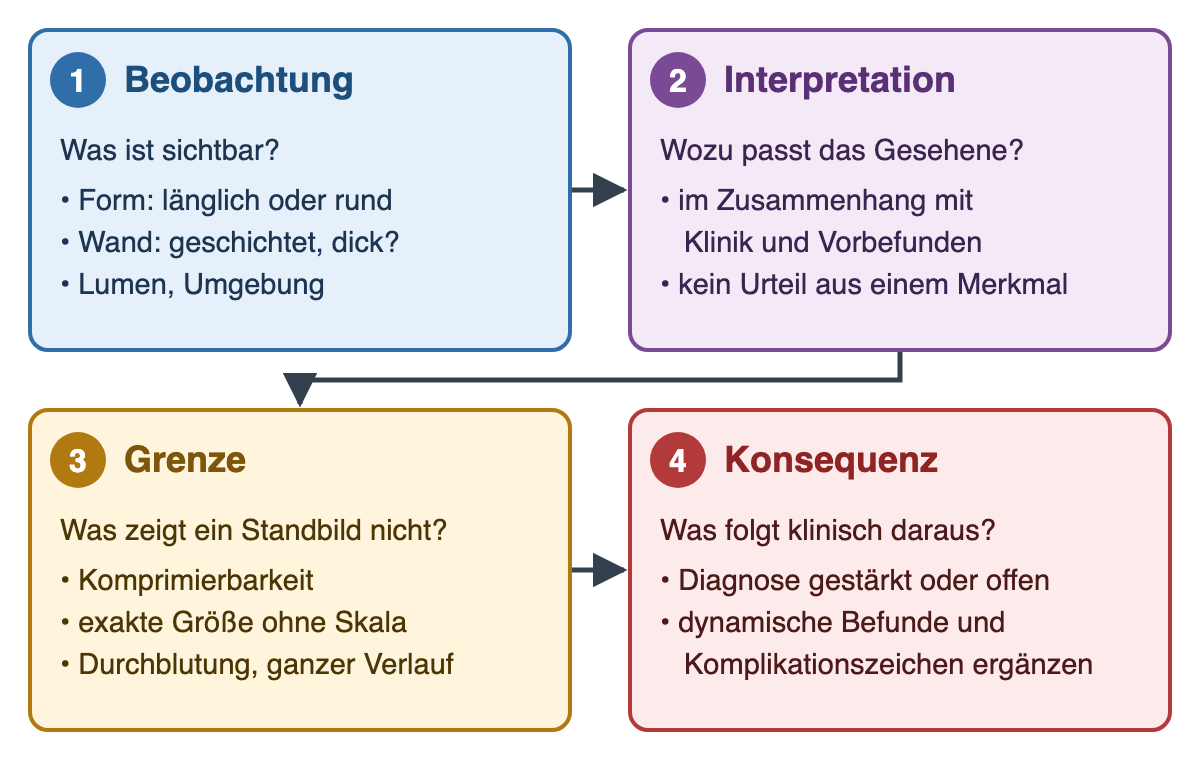 Vier Schritte der Bildbefundung: Beobachtung, Interpretation, Grenze und klinische Konsequenz, jeweils mit Leitfrage und Stichpunkten.