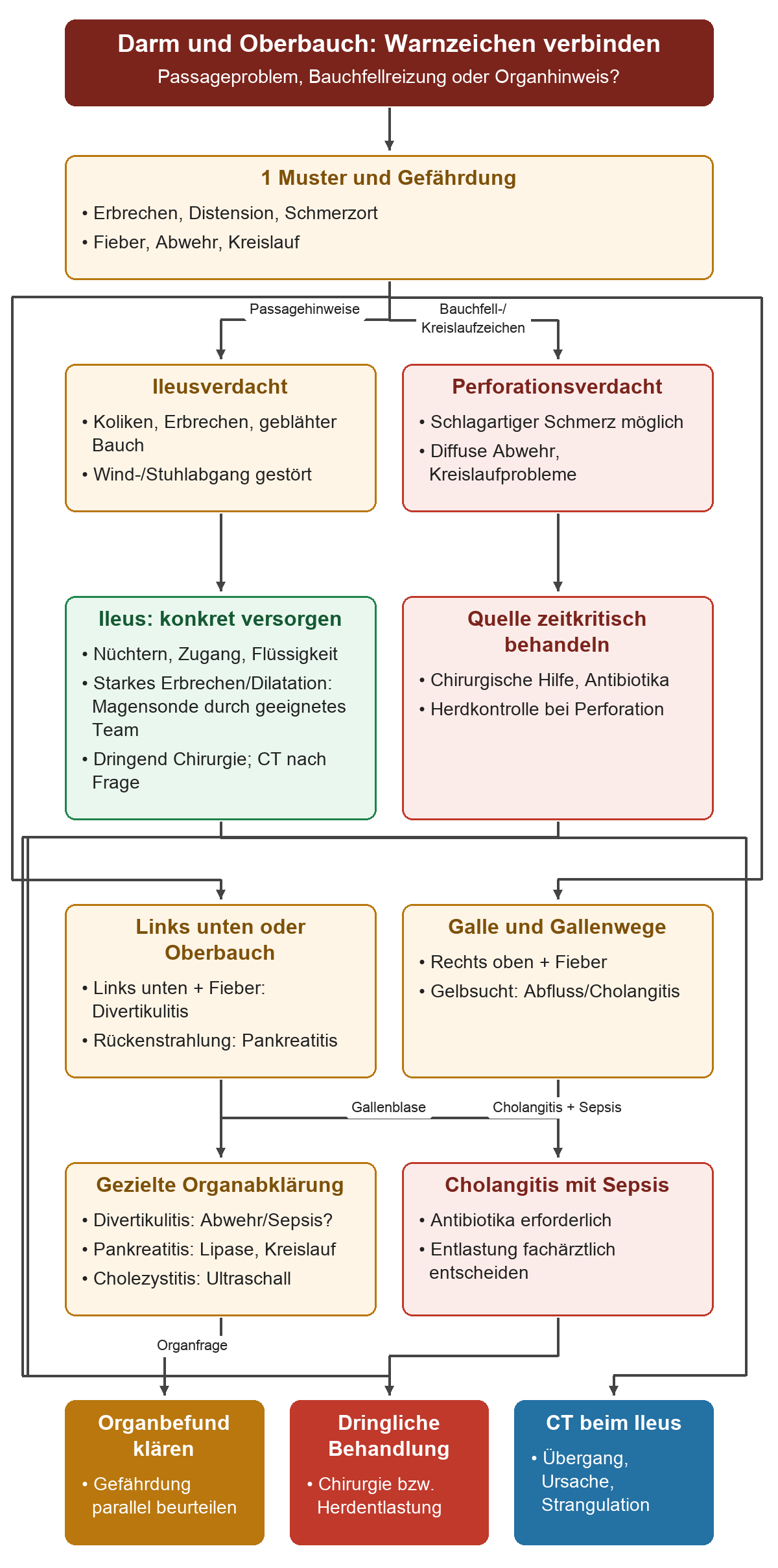 Vom klinischen Muster führen Wege zu Ileus, Perforationsverdacht oder lokalem Organhinweis. Ileus und Perforation erhalten konkrete Erstmaßnahmen; Divertikulitis, Pankreatitis und Gallenkrankheiten gezielte Tests. Cholangitis mit Sepsis erfordert Antibiotika und Entlastungsentscheidung.
