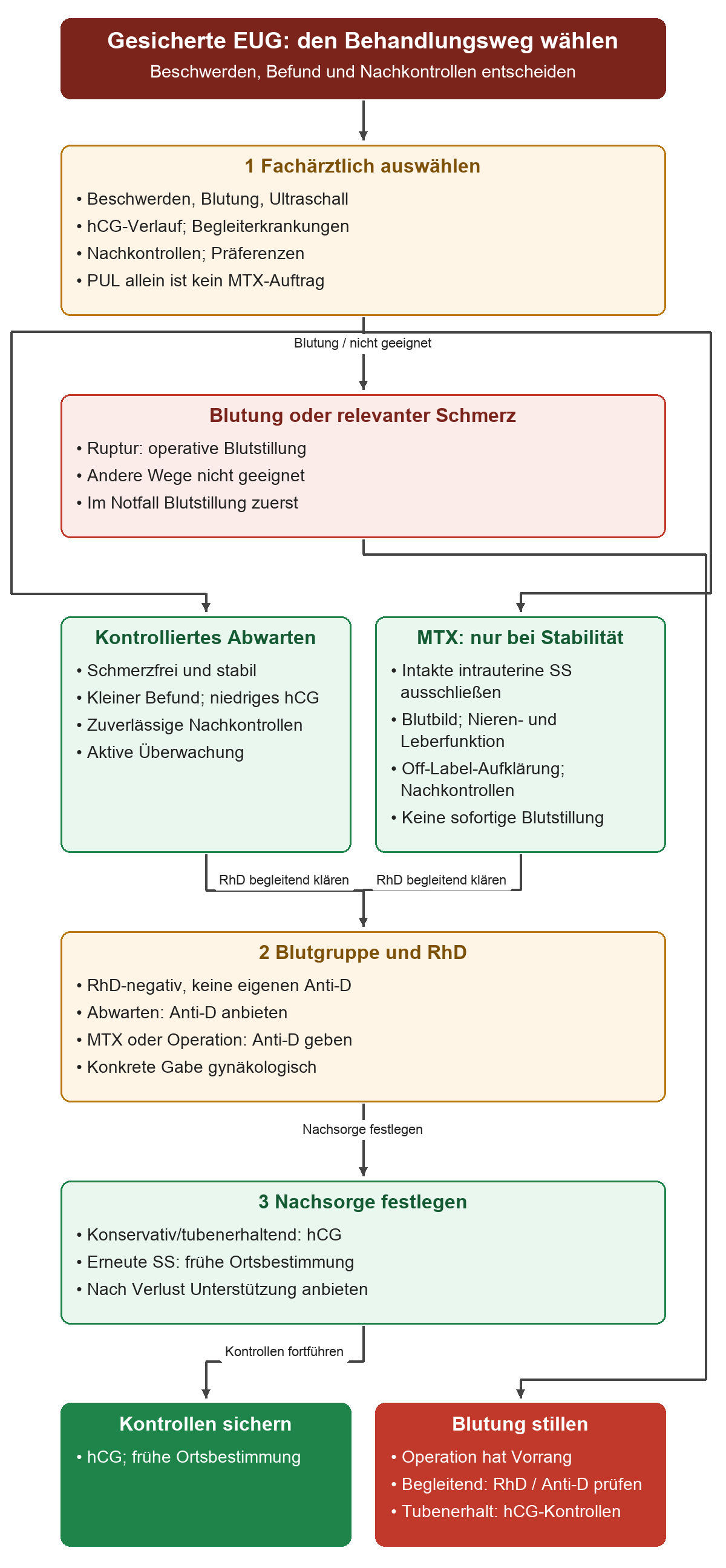 Von Auswahlkriterien zu dringlicher Operation oder bei geeigneter stabiler Patientin zu kontrolliertem Abwarten beziehungsweise Methotrexat. Die konservativen Wege führen über die RhD-Prüfung zur Nachsorge; Blutung und Ruptur führen mit Vorrang zur operativen Blutstillung. Operative Versorgung umfasst die begleitende RhD-/Anti-D-Prüfung und nach tubenerhaltender Operation hCG-Nachkontrollen; die Blutstillung hat Vorrang.
