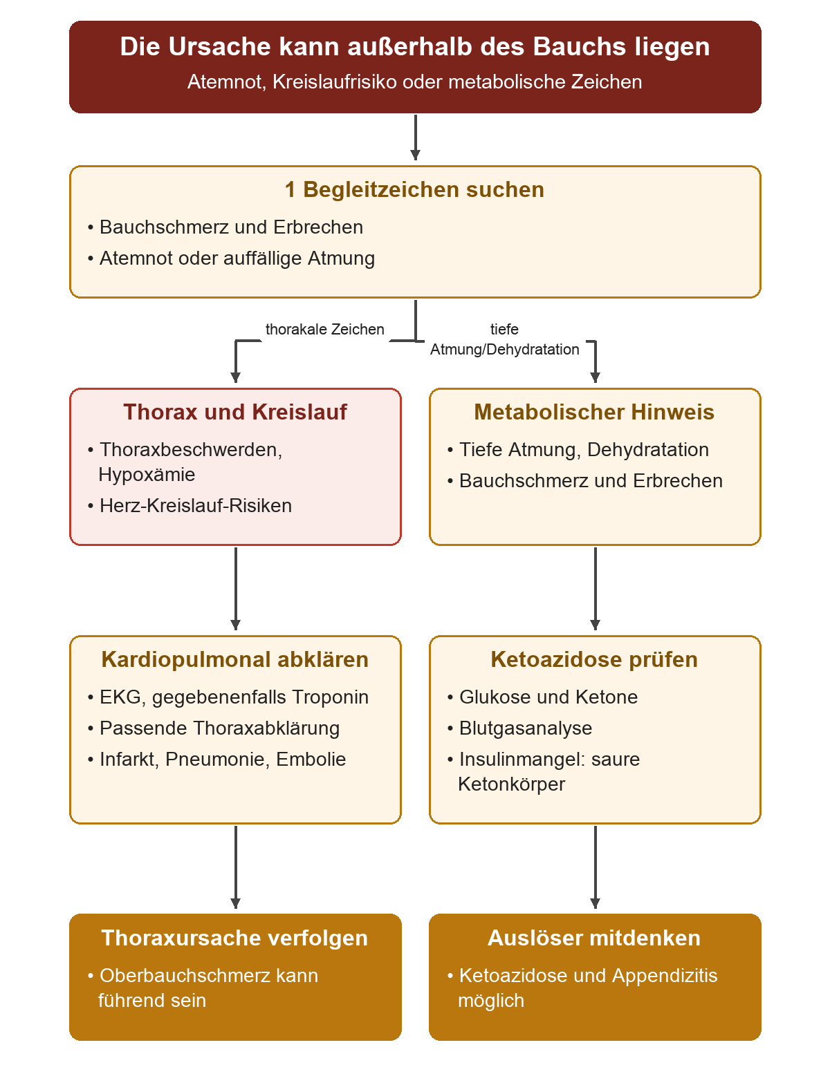 Bauchschmerz mit Atemnot oder Kreislaufrisiken führt zu EKG, gegebenenfalls Troponin und Thoraxabklärung. Tiefe Atmung und Dehydratation führen zur Prüfung von Glukose, Ketonen und Blutgasen; Appendizitis kann gleichzeitig als Auslöser bestehen.