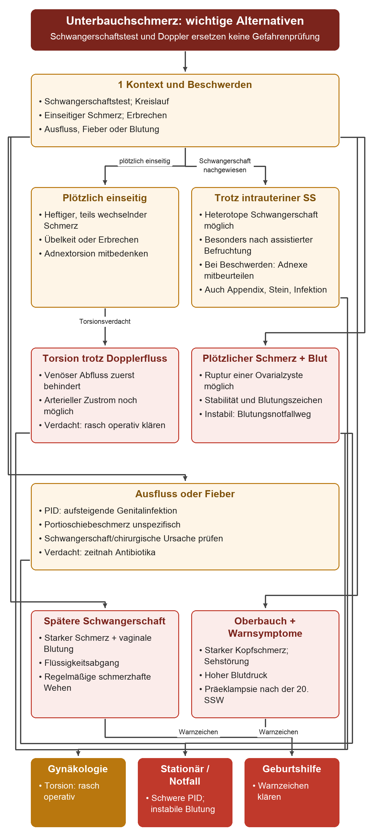 Kontext und Symptome führen zu Torsion, Zystenruptur, PID, heterotoper Schwangerschaft oder geburtshilflichen Warnzeichen. Erhaltener Dopplerfluss hebt den Torsionsverdacht nicht auf. Die Ergebnisse unterscheiden gynäkologische Klärung, stationäre oder Notfallversorgung und geburtshilfliche Abklärung.