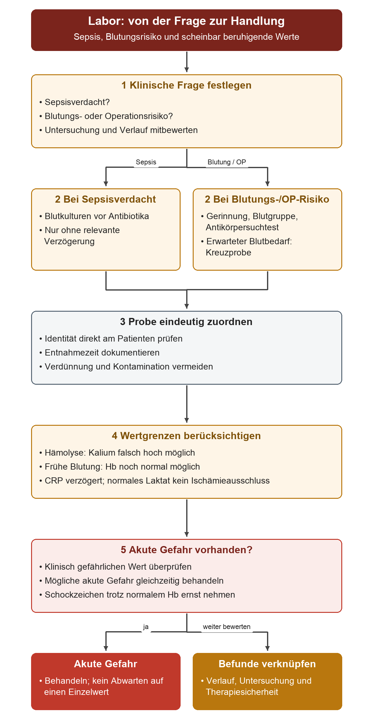 Von Sepsis- oder Blutungsfrage über passende Proben und sichere Entnahme zu den Grenzen von Kalium, Hb, CRP und Laktat; bei akuter Gefahr gleichzeitig behandeln, sonst Befunde mit Untersuchung und Verlauf verknüpfen.