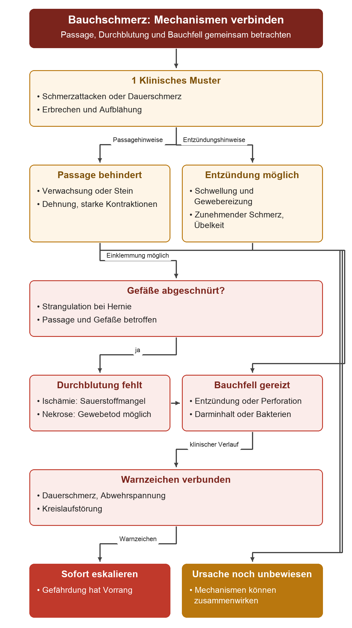 Von Schmerz, Erbrechen und Aufblähung zu Passagehindernis oder Entzündung; Strangulation kann über Ischämie und Nekrose zur Perforation führen. Bei Dauerschmerz, Abwehrspannung und Kreislaufstörung sofort eskalieren; ein Mechanismus allein beweist keine Ursache.