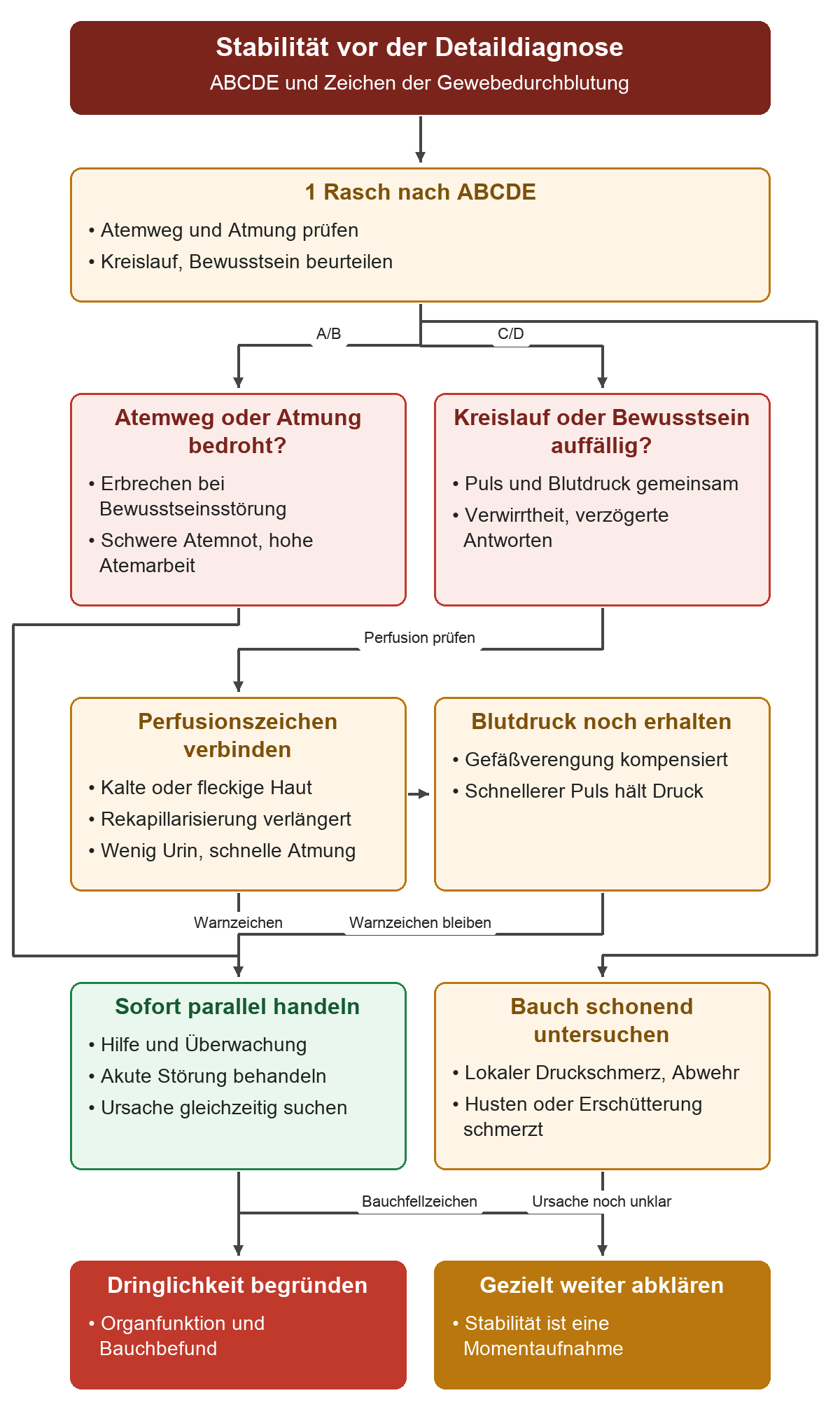 ABCDE führt zu Atemwegs-, Atem- und Kreislaufzeichen. Haut, Rekapillarisierung und Urin helfen bei erhaltenem Blutdruck. Bei Bedrohung laufen Behandlung, Hilfe und Ursachensuche parallel; der Bauchbefund ergänzt die Dringlichkeit.