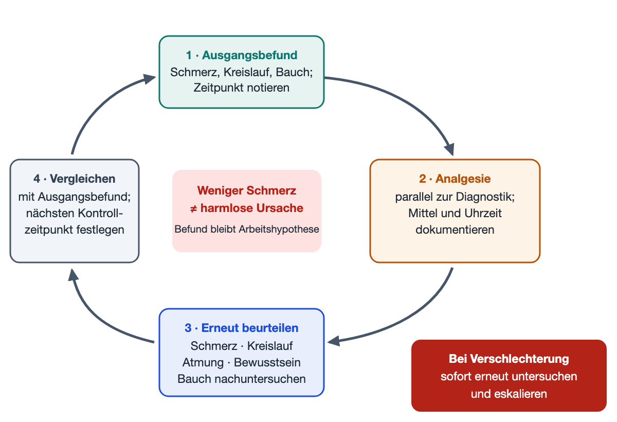 Kreislaufdiagramm mit vier Schritten: 1 Ausgangsbefund mit Zeitpunkt, 2 Analgesie parallel zur Diagnostik, 3 erneute Beurteilung von Schmerz, Kreislauf, Atmung und Bewusstsein mit Nachuntersuchung des Bauchs, 4 Vergleich mit dem Ausgangsbefund und Festlegen des nächsten Kontrollzeitpunkts. In der Mitte der Hinweis, dass weniger Schmerz keine harmlose Ursache beweist; daneben: bei Verschlechterung sofort erneut untersuchen und eskalieren.