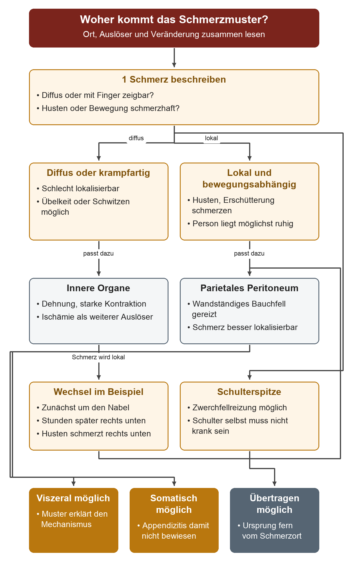 Zuerst Schmerzort und Bewegungseinfluss prüfen. Diffuser Schmerz führt zu viszeralen, lokaler bewegungsabhängiger Schmerz zu somatischen Mechanismen; Schulterspitzenschmerz kann vom Zwerchfell übertragen sein. Der Wechsel vom Nabel nach rechts unten verbindet die ersten beiden Wege.