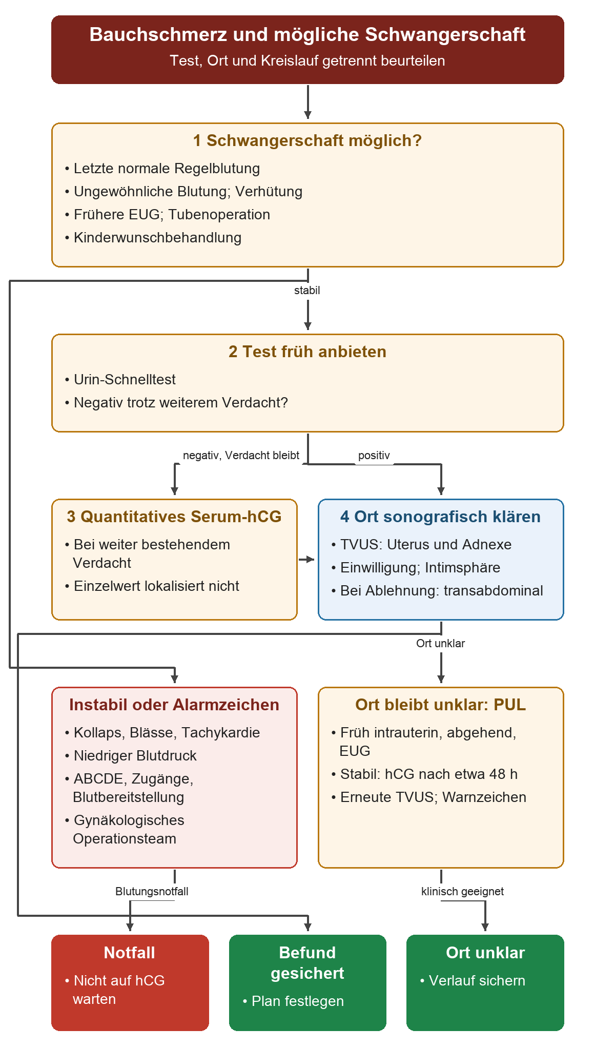 Von Anamnese und Kreislauf zum Test; bei negativem Urintest und weiterem Verdacht Serum-hCG, bei positivem Nachweis TVUS. Der gesicherte Ort führt zur Befundplanung, PUL zum kontrollierten Verlauf; Instabilität führt parallel zur sofortigen Versorgung.