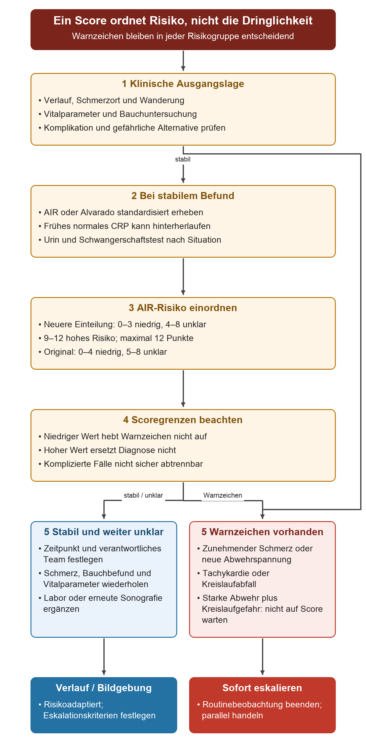 Nach klinischer Erhebung folgt bei stabilen Patienten die standardisierte Risikobewertung mit AIR oder Alvarado. Die zwei AIR-Einteilungen sind kenntlich gemacht. Scoregrenzen führen zu geplanter Verlaufskontrolle oder Bildgebung; Warnzeichen überspringen den Scoreweg und verlangen sofortige Eskalation.