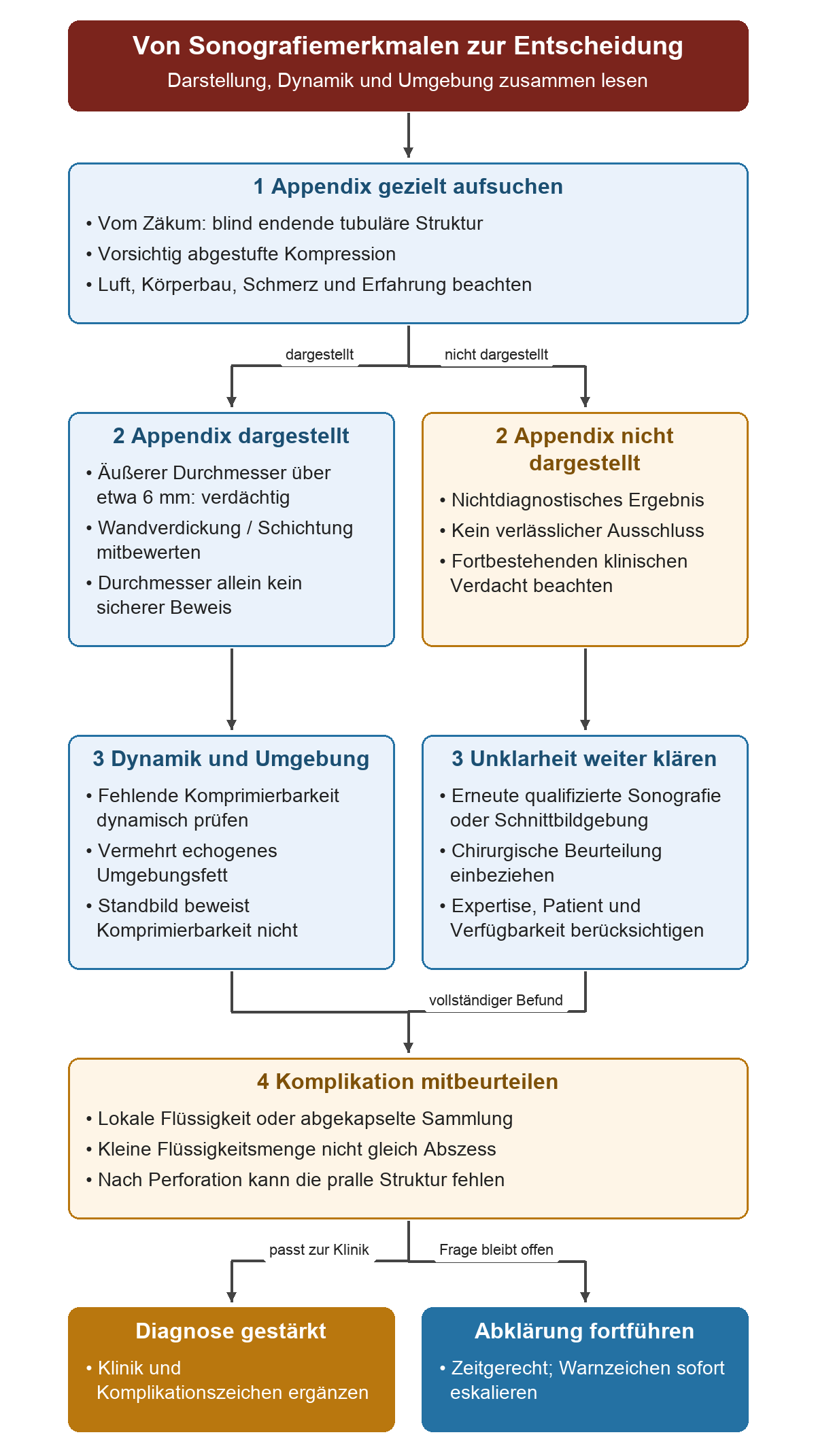 Von der gezielten Suche am Zäkum verzweigt der Weg in dargestellte und nicht dargestellte Appendix. Durchmesser, Wand, Kompression und Umgebungsfett werden kombiniert; ein nichtdiagnostischer Befund führt zu erneuter Sonografie oder Schnittbildgebung. Flüssigkeit und mögliche Perforation bestimmen die weitere Einordnung.