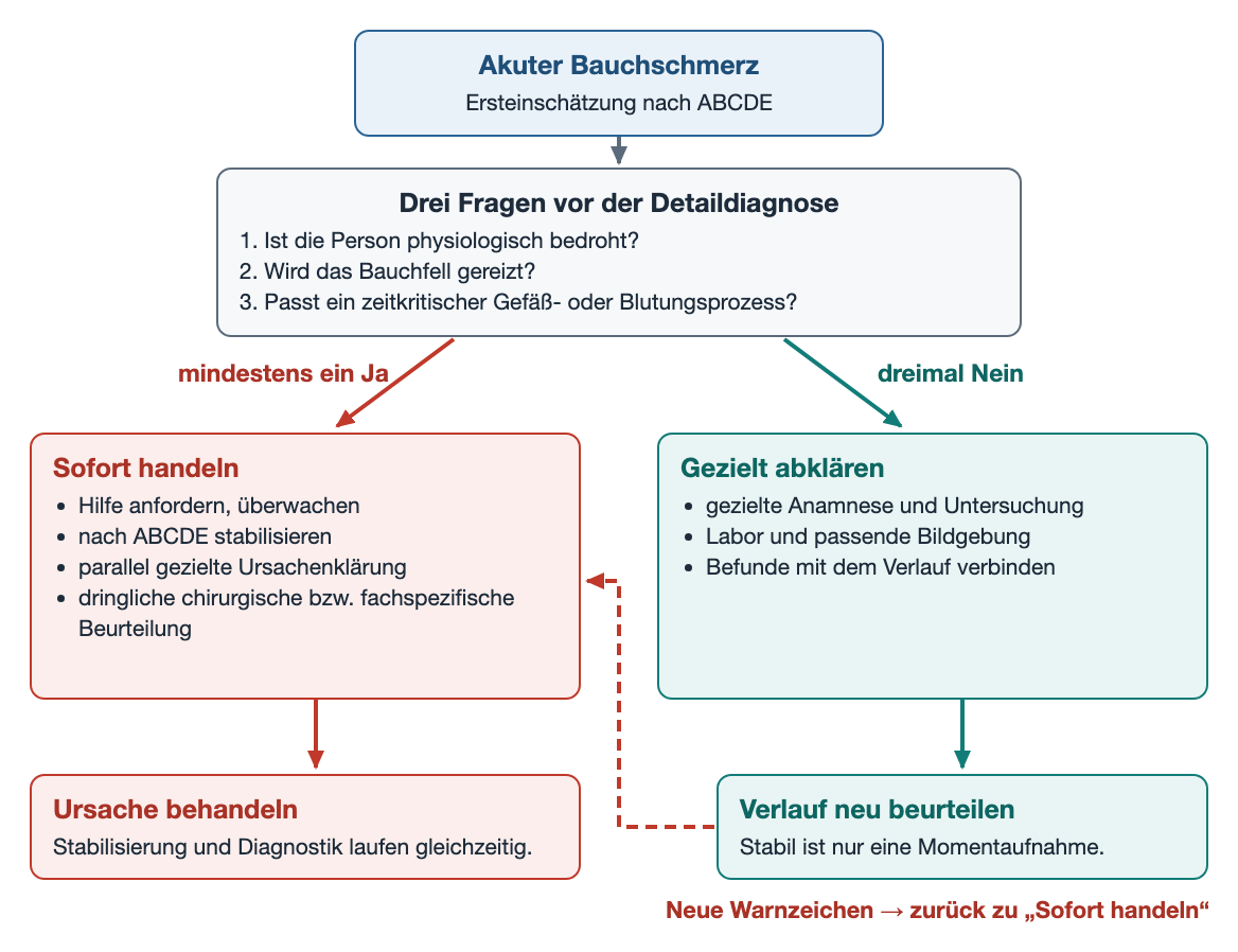 Flussdiagramm: Nach der ABCDE-Ersteinschätzung führen drei Fragen entweder zu sofortigem Handeln mit Stabilisierung und paralleler Ursachenklärung oder zu gezielter Abklärung mit Verlaufskontrolle; neue Warnzeichen führen zurück zum sofortigen Handeln.