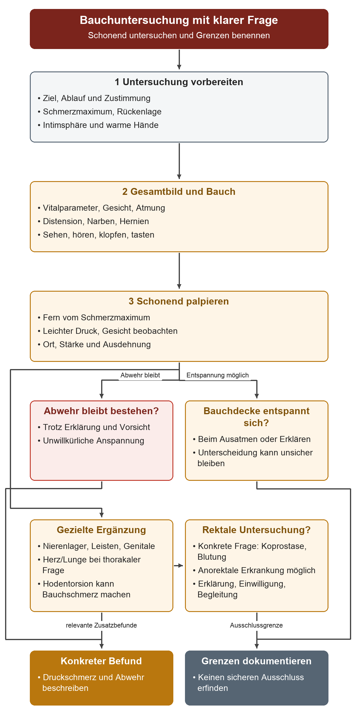 Nach Erklärung, Zustimmung und Gesamteindruck folgt die vorsichtige Palpation. Anhaltende Abwehr und mögliche Entspannung werden getrennt beschrieben. Zusatzuntersuchungen folgen einer konkreten Hypothese; die rektale Untersuchung schließt Appendizitis nicht zuverlässig aus.