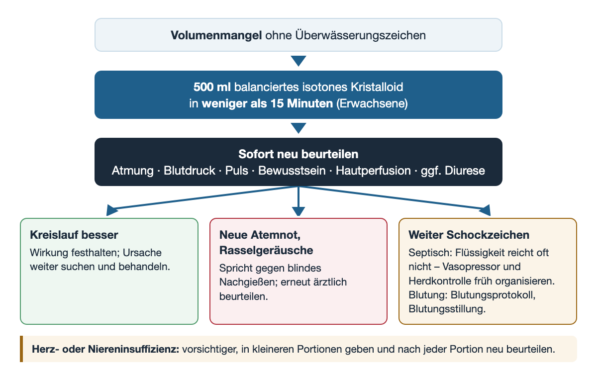 Ablaufdiagramm des kontrollierten Volumenversuchs: Volumenmangel ohne Überwässerungszeichen, dann 500 ml balanciertes isotones Kristalloid in weniger als 15 Minuten bei Erwachsenen, dann sofortige Neubeurteilung von Atmung, Blutdruck, Puls, Bewusstsein, Hautperfusion und gegebenenfalls Diurese. Drei Ausgänge: Kreislauf besser – Wirkung festhalten und Ursache weiter suchen; neue Atemnot oder Rasselgeräusche – spricht gegen blindes Nachgießen, erneut ärztlich beurteilen; weiter Schockzeichen – bei Sepsis Vasopressor und Herdkontrolle früh organisieren, bei Blutung Blutungsprotokoll und Blutungsstillung. Darunter der Hinweis, bei Herz- oder Niereninsuffizienz in kleineren Portionen zu geben und nach jeder Portion neu zu beurteilen.